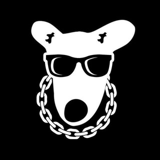 Telegram profile photo for airdrop | ایردراپ