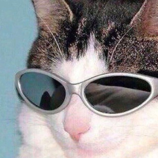 Telegram profile photo for канал с мемами