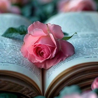 Telegram profile photo for " مَــمْلَڪتِۍ "