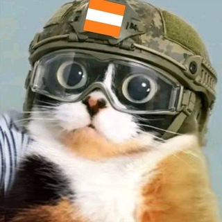 Telegram profile photo for Переходник Апельсинии