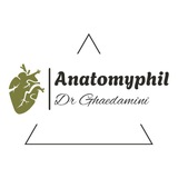 Telegram profile photo for Anatomyphil 🤩