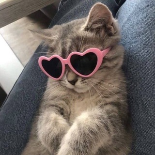 Telegram profile photo for С ЛЮБОВЬЮ, S