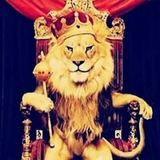 Telegram profile photo for 👑Б.Р.О.Д.Я.Г.А👑