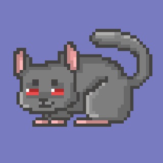 Telegram profile photo for TON Chinchillas NFT