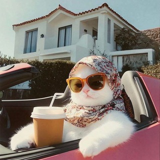 Telegram profile photo for мемы юмор приколы анекдоты ~ жесть