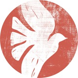 Telegram profile photo for ЮЖЕ. Дневник Ефремовой