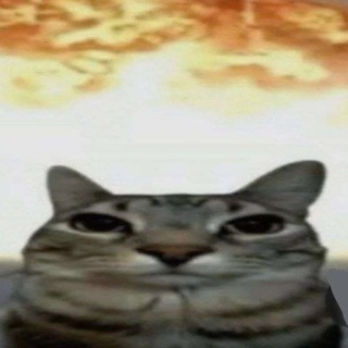 Telegram profile photo for -асоциал-демократ-