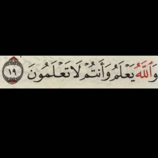 Telegram profile photo for -قٌرآن.