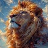Telegram profile photo for Mayar