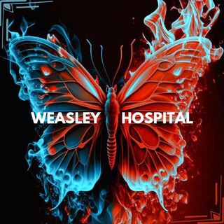 Telegram profile photo for Arship ๐๐๐๐๐๐๐ ๐๐๐๐๐๐๐๐