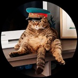 Telegram profile photo for 𝓷𝓮 𝓚𝓸𝓹𝓮𝓷𝓰𝓪𝓰𝓮𝓷*