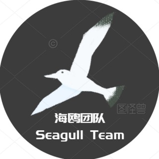 Telegram profile photo for 海鸥团队研究所