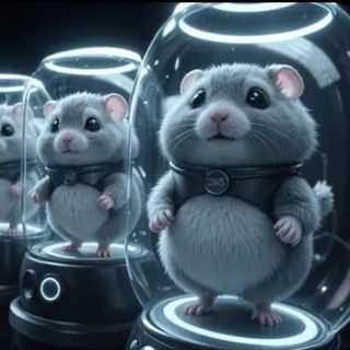 Telegram profile photo for Hamster Kombat My Clone Army Keys