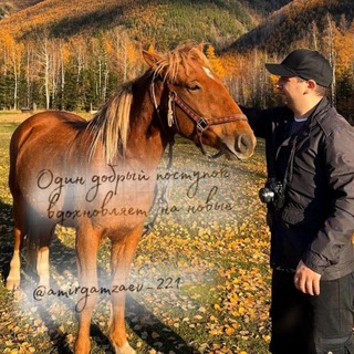Telegram profile photo for Амиргамзаев