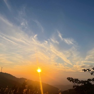Telegram profile photo for 薇薇WhatsApp贩卖小屋