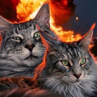 Telegram profile photo for МАТЬ КОТОВ