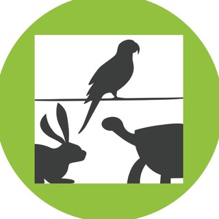 Telegram profile photo for WebExoVet - Online school for Exotic Vets