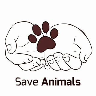 Telegram group profile photo for Пошук Тварин - Save Animals Ukraine