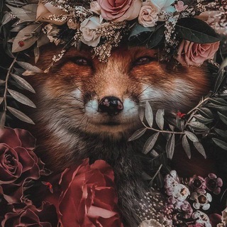 Telegram profile photo for Wallpapers