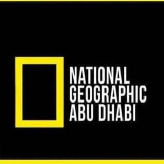 Telegram profile photo for صور حيوانات مختلفة//Photos of animals