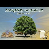 Telegram profile photo for Navqiron gujumlar
