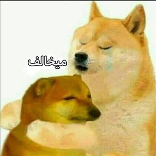 Telegram profile photo for مَيخالِف