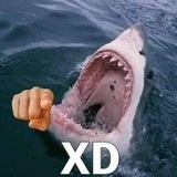 Telegram profile photo for набор адм || морские жители дейли