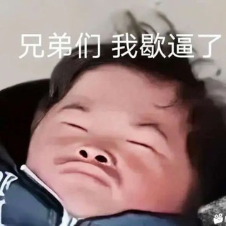 Telegram profile photo for 猪皮供货群