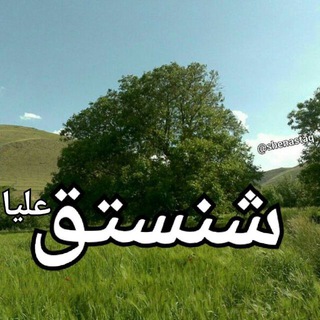 Telegram profile photo for شنستق (چینسته)