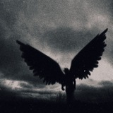Telegram profile photo for отзывы ANG611L