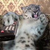 Telegram profile photo for Анкеточный канал