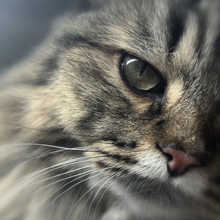 Telegram profile photo for части души