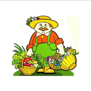 Telegram profile photo for Дачники