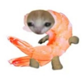 Telegram profile photo for Сліди креветки