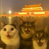 Telegram profile photo for ᴍᴜʀᴢɪᴋx ᴅʀᴇᴀᴍs