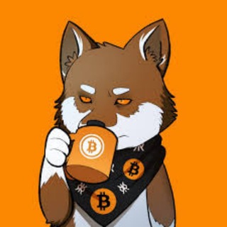 Telegram group profile photo for SEO搭建源码交流群