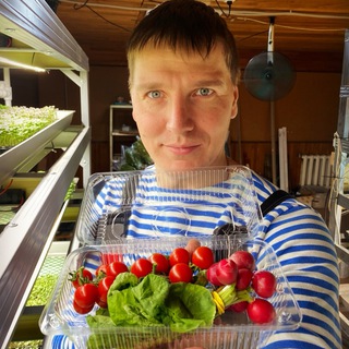 Telegram profile photo for Владимир Свичеревский. Все о микрозелени🌱
