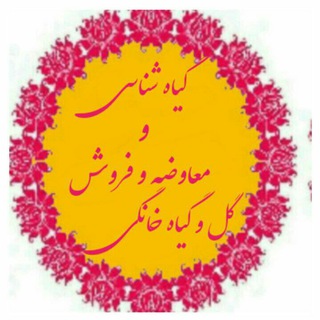 Telegram profile photo for کانال معاوضه و فروش گل و گیاه خانگی و گیاه شناسی