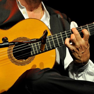 Telegram profile photo for Flamenco