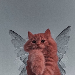 Telegram profile photo for صور بنات كيوت رمزيات ستوريات