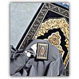 Telegram profile photo for مِاެݪاެ نِبَـــۅٛحِ بَهِ ❤️🩹|. َ↻
