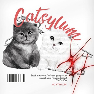 Telegram profile photo for CATSYLUM 🐈⬛
