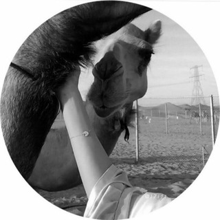 Telegram profile photo for ﴿- حبه في معاليقي آلتوى'.