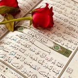 Telegram profile photo for فرشته شیر خدا