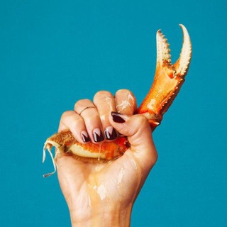 Telegram profile photo for MOREANI SEAFOOD