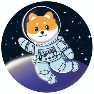 Telegram group profile photo for SpaceDoge-