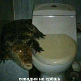 Telegram profile photo for Порифульки умерсичечка