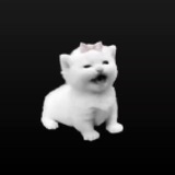 Telegram profile photo for Fucked usernames