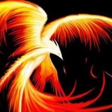 Telegram profile photo for ❤️🔥 Firebird - Good Vibes | MindTreasure | #Seelennahrung | #Wissenswertes #Lebensfreude