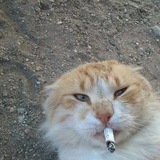 Telegram profile photo for ХаХатор